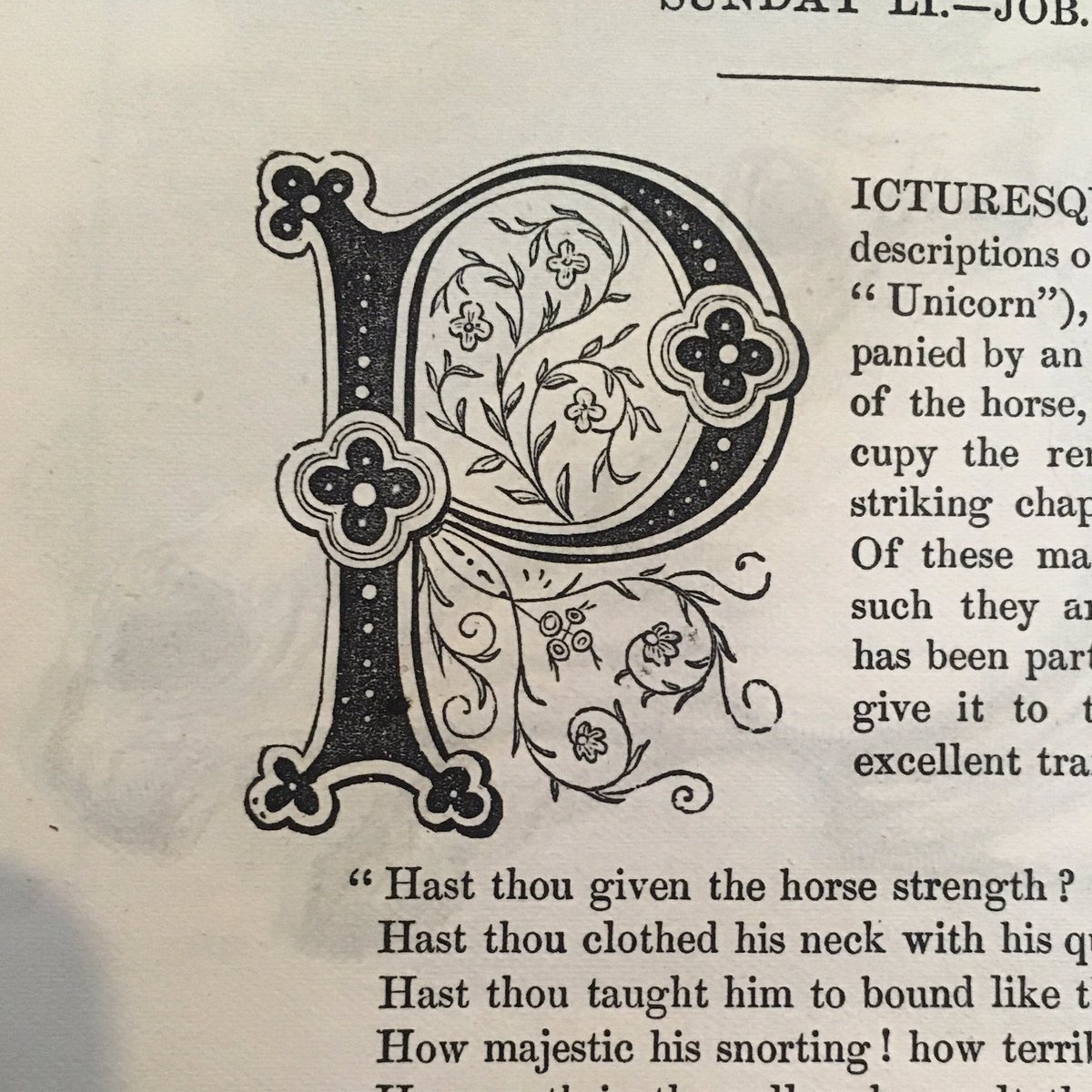 Rookebooks's tweet image. For #typetuesday we have an #illuminatedletter from this  illustrated Bible history.
#type #graphicletter #type #antiquebooks #bookdesign