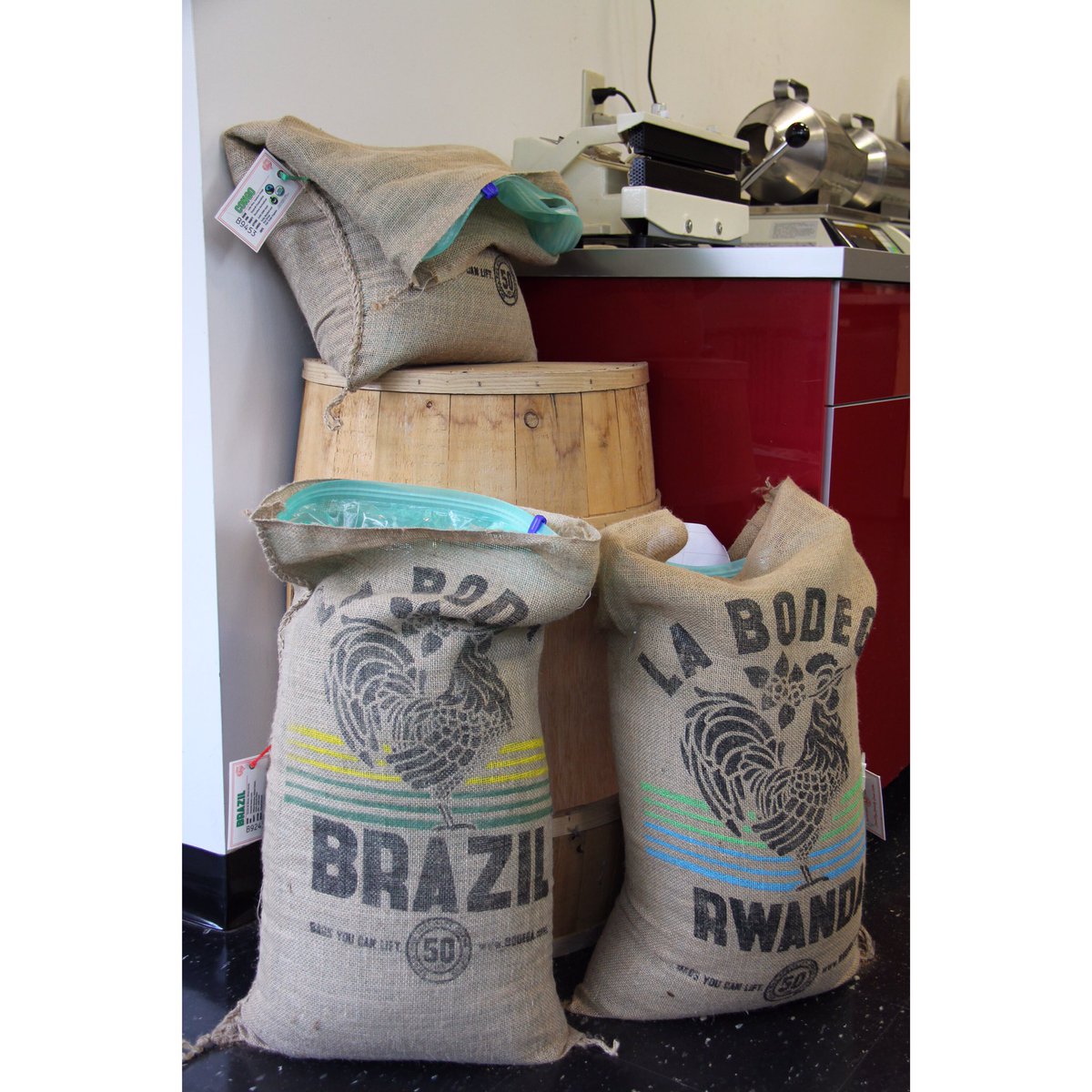 MastersOfJava's tweet photo. Happy Tuesday ☀️There is nothing we can't handle, especially when there's a good 'ol cup of coffee in hand 🤗🌱☕️#coffee #microroasting https://t.co/P8HqP3Fplr