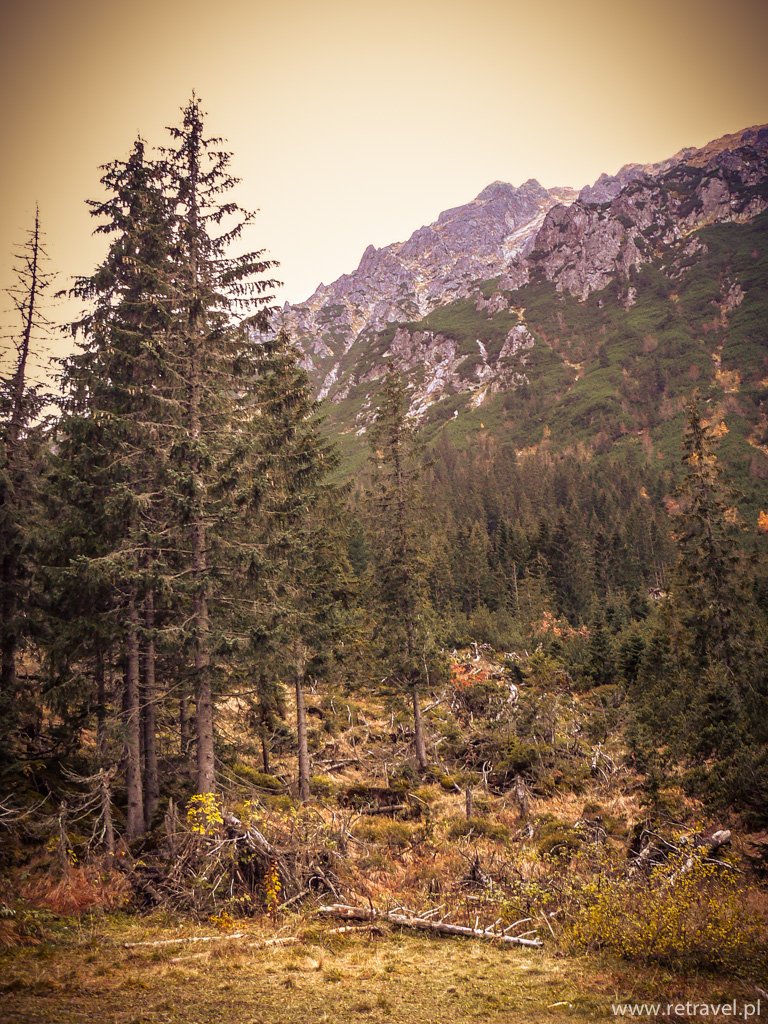 Zakopane #podróże #góry #zdjęcia #polska #zakopane