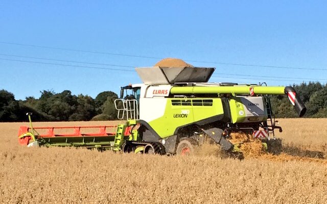 agronomyben's tweet photo. Demo time in Brechin with #Claas #Lexion 780 running alongside the farms 770 in damp conditions #farm24 #harvest17 #ScotFarm #TractorPorn https://t.co/hcZfVVjVro