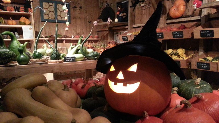 Griezelen van groente? Doe mee aan de <a href="/Voorleesactie/">Voorleesactie</a> en ontvang kosteloos het boek: dagvandeduurzaamheid.nl/scholen  #kinderboekenweek #dvdd17