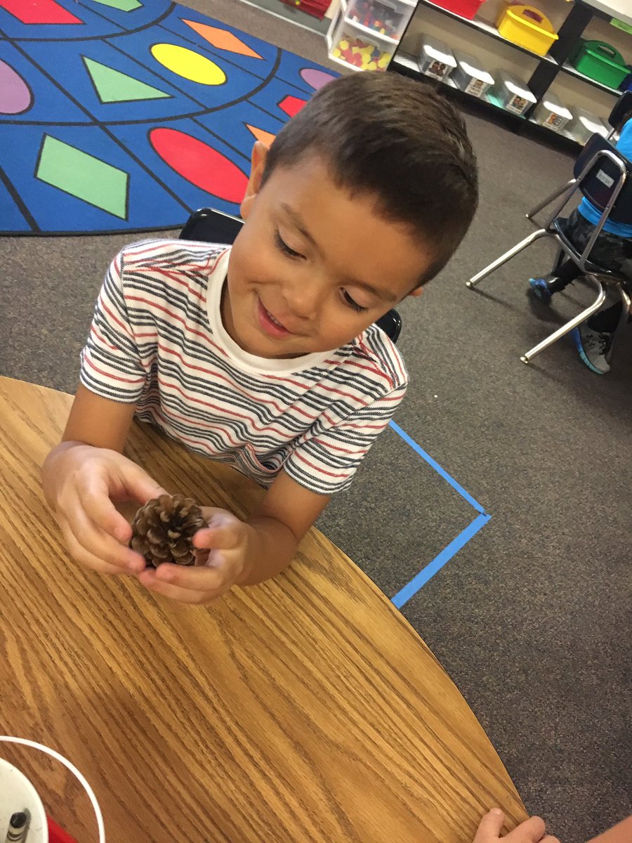 AngelWiersema's tweet photo. Kindergarten is learning about textures #RCISDJOY https://t.co/CYzrguPYMg
