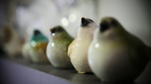 QLD Startup Showcase tweet media