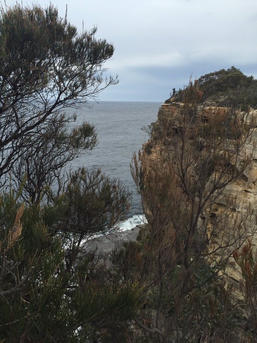 Australia is seriously gorgeous you guys. Now off to Adelaide for ten days. Will update with shenanigans<a href="/tag/trumpkin"class="tags"><span>#trumpkin</span></a>