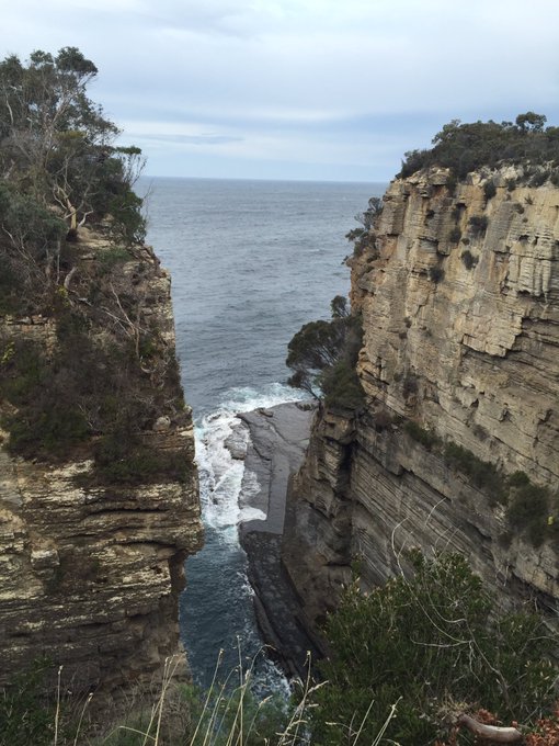 Australia is seriously gorgeous you guys. Now off to Adelaide for ten days. Will update with shenanigans<a href="/tag/trumpkin"class="tags"><span>#trumpkin</span></a>