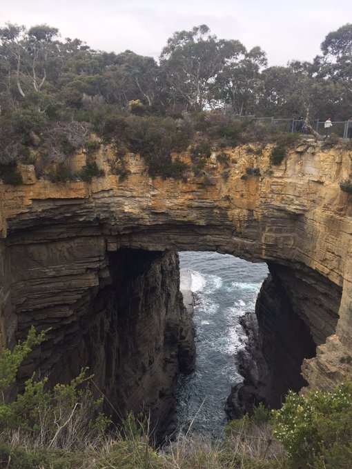 Australia is seriously gorgeous you guys. Now off to Adelaide for ten days. Will update with shenanigans<a href="/tag/trumpkin"class="tags"><span>#trumpkin</span></a>