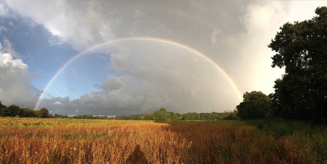 RespectGB's tweet photo. Respect Rainbow https://t.co/vOd6IhuNap https://t.co/NXVL2WkDhF