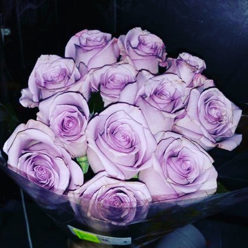 GreywormsOnly's tweet photo. Smell the roses and get in with Smiley360! You won't regret it i promise!!  #FallWithSmiley https://t.co/EGiahEWIfc https://t.co/PnbaOzVqhN