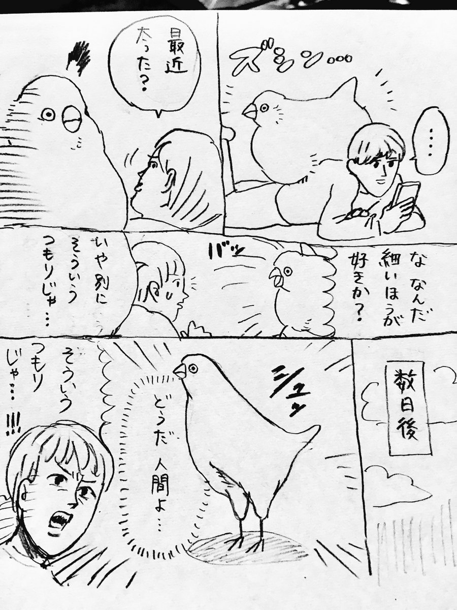 ももひきチュン漫画 