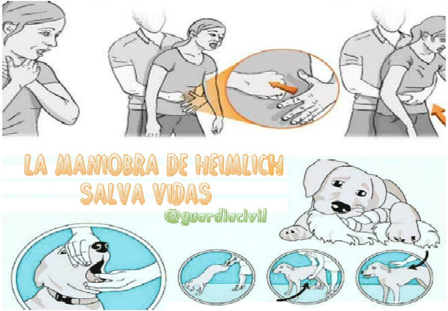 Guardia Civil tweet media