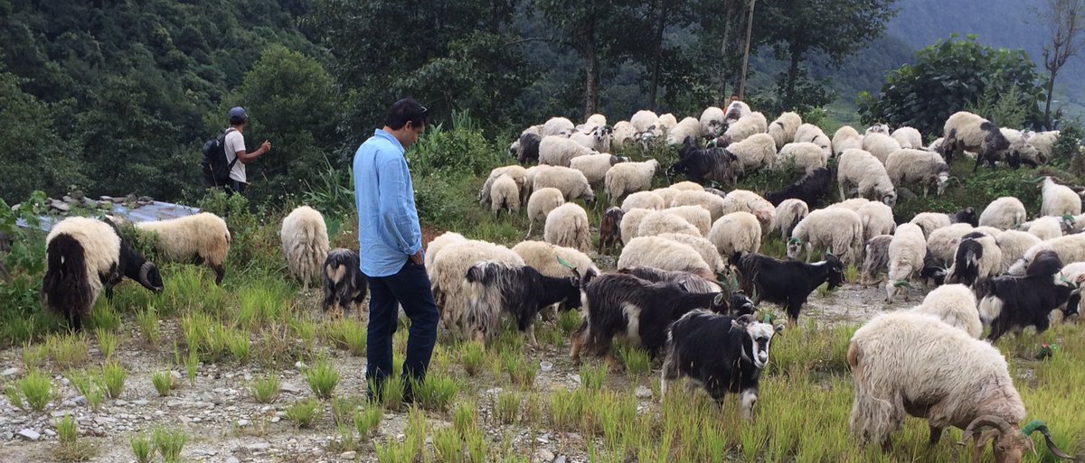 KabindraRegmi's tweet photo. #changra are one the way to #pokhara #pem https://t.co/eAldnMjK1z