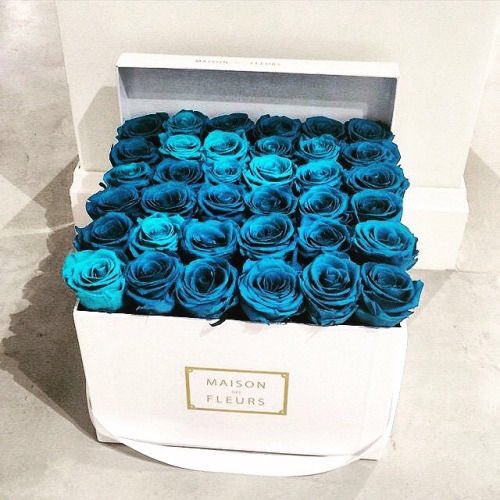 AnonymousGiftRP's tweet image. To: @RenaissanceHx 

Thank you for this one month with you, it's the first of many to come, and I'm so glad 💓 love you Bee
~ Anonymous