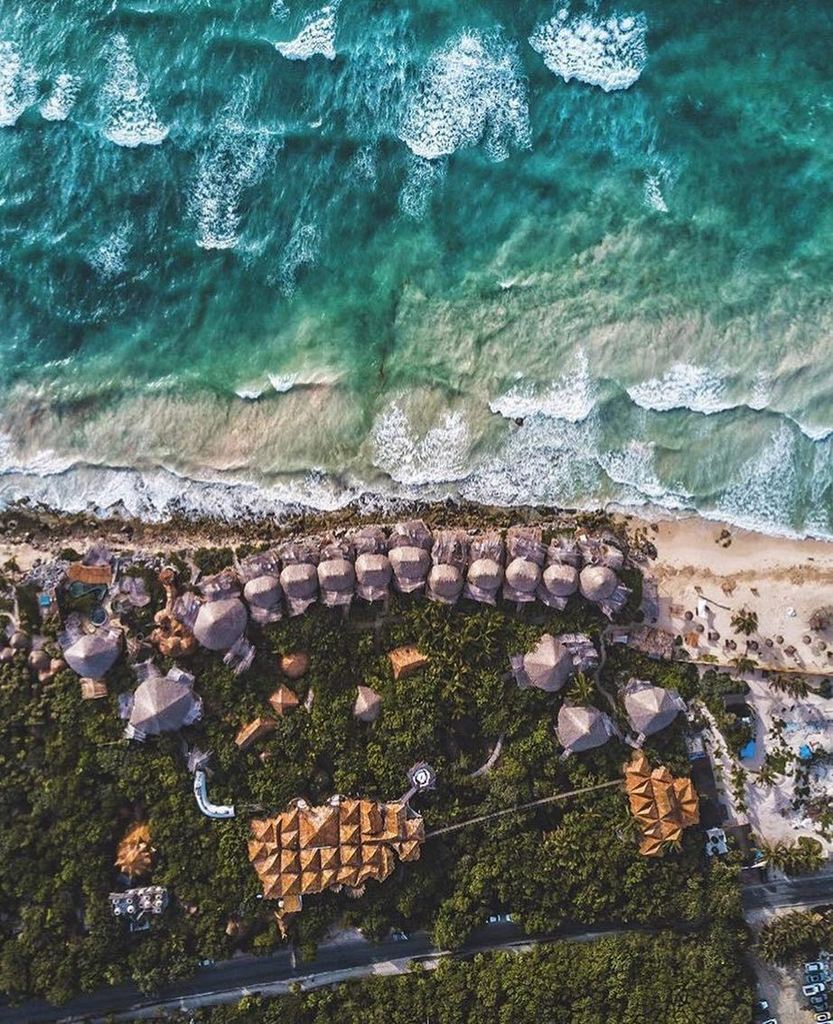 Azulikofficial's tweet photo. 🌴🦋"What if I fall?" Oh, but my darling, what if you fly?🦋🌴#Fly #Dream #Neverland #Azulik #Magic #Treehouse #PeterP… https://t.co/OjtCoSqtBQ https://t.co/qgOjrLpZUP
