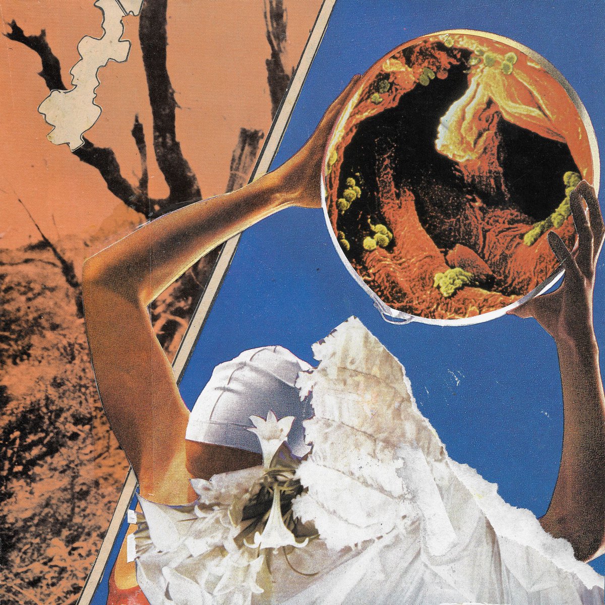 ButtonheadMusic's tweet image. The new album is tantalisingly close! 'Never or Forget' is now available to pre order... buttonhead.bandcamp.com/album/never-or…