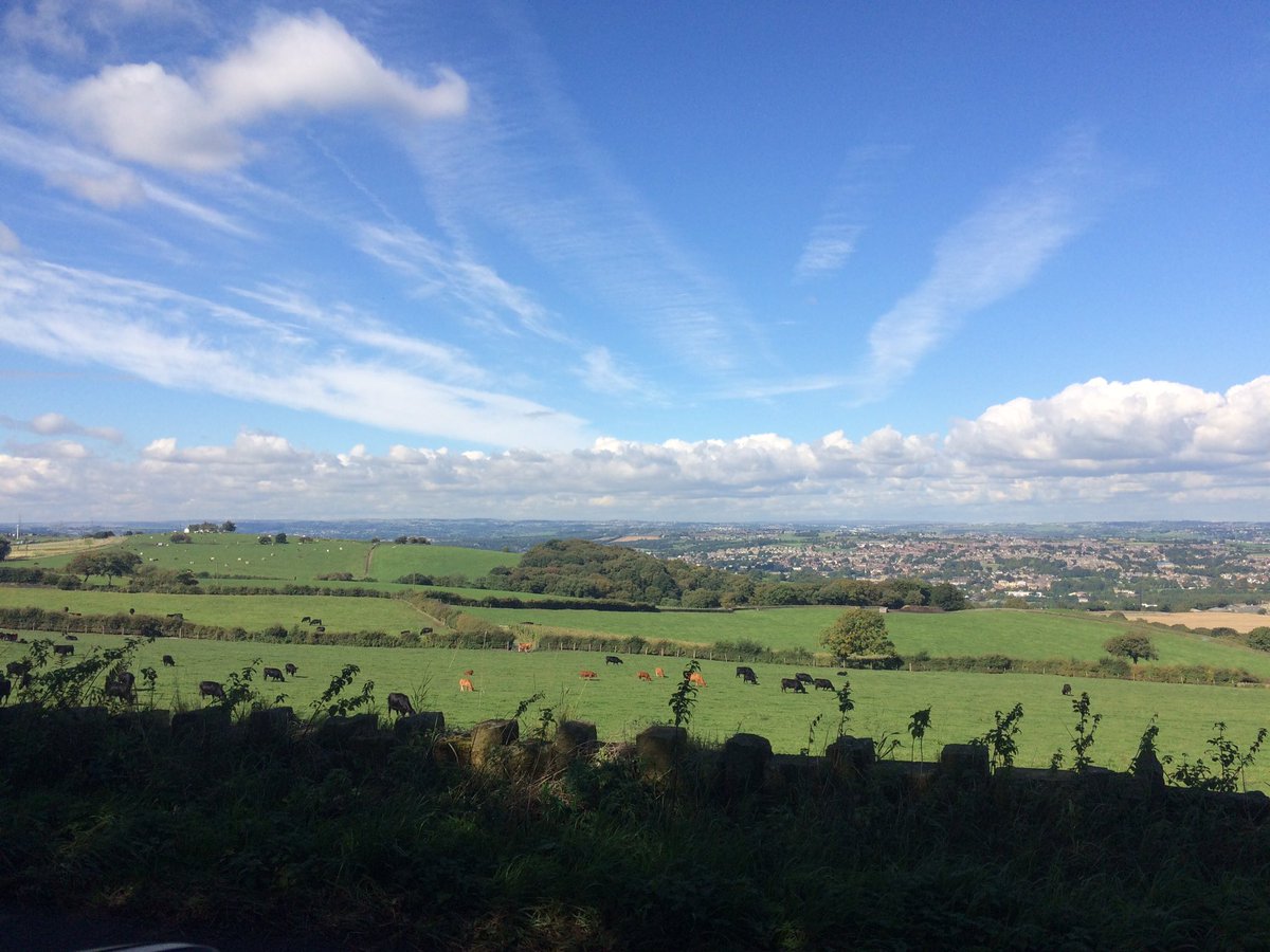 StampedeEq's tweet photo. What a beautiful view out and about teaching today. Beautiful weather π#247equestrian #GoodDogMagazine love π¬π§ https://t.co/3K2xwWudjk