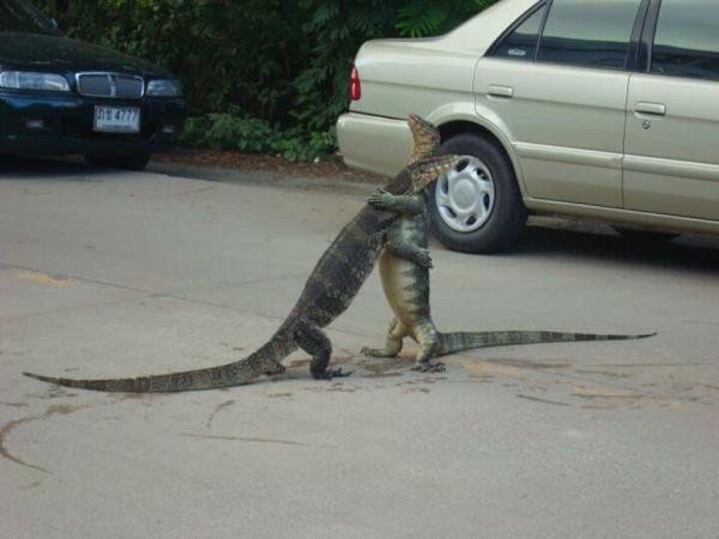 WorIdStarComedy's tweet photo. FRANK

FRANK, MAN, YOU’RE ALIVE

I just.. I saw this handbag man

It looked just like you

OH FRANK I’M SO RELIEVED! https://t.co/CcdcAyv0td