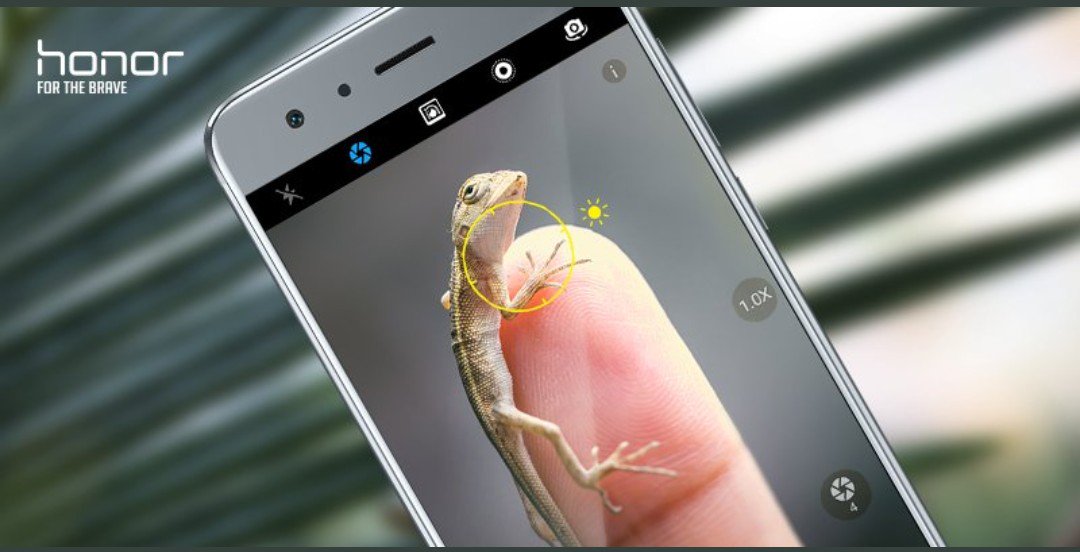 Honor_League_In's tweet photo. #SnaPet- Bring out detail of your tiny friend from honor's aperture mode and submit your entry in honor community. #HonorPhotography #Honor https://t.co/02GeKlOBQ5
