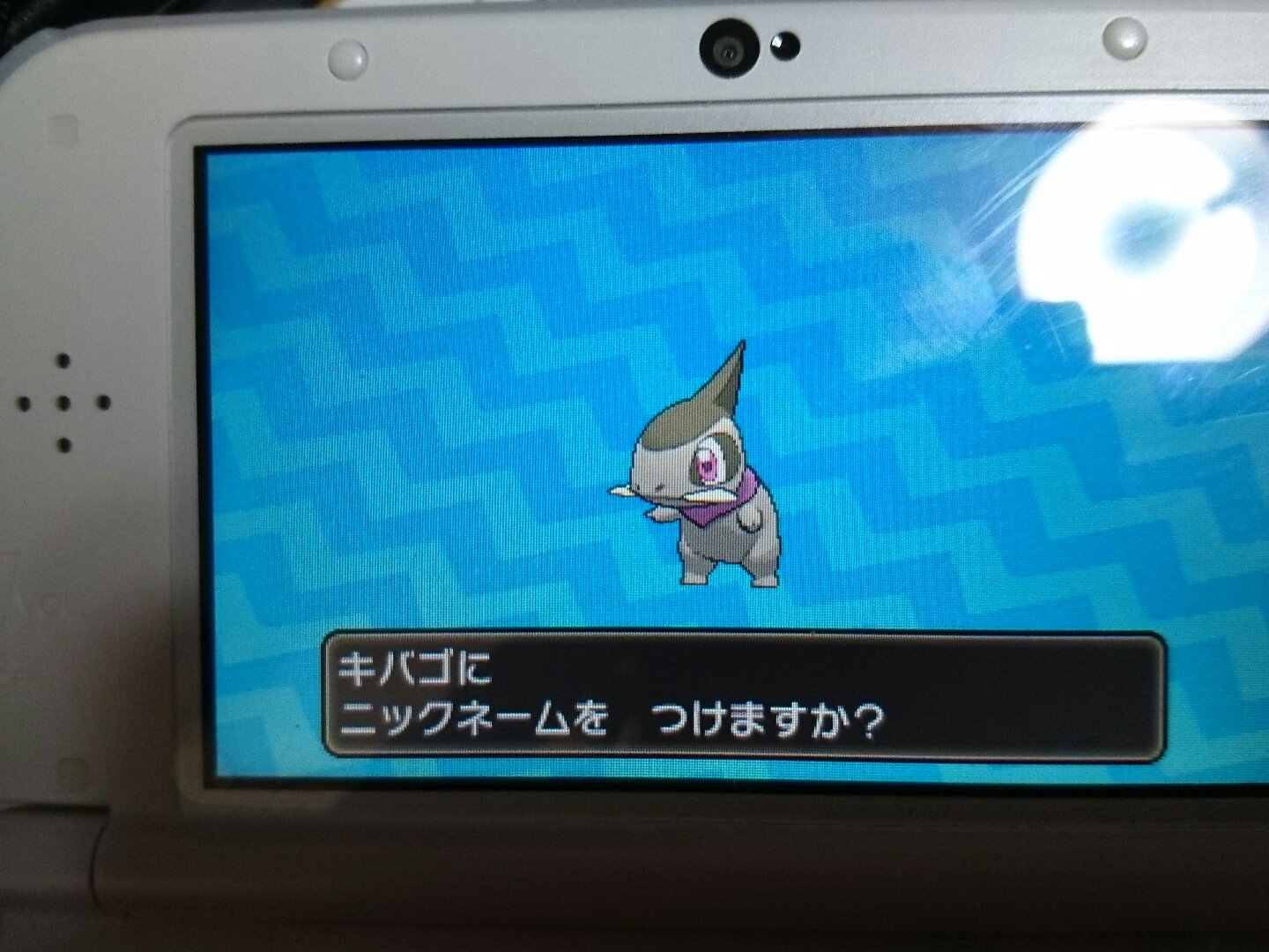 T M トム Twitter पर あれ W 孵化余り孵化してたらw 孵化厳選 色違い 孵化余り キバゴ ポケモン ポケットモンスター サンムーン T Co Htinyqdq5z Twitter