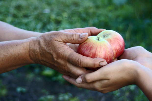 No one has ever become poor by giving.

Join out #community: communityforus.com/#/