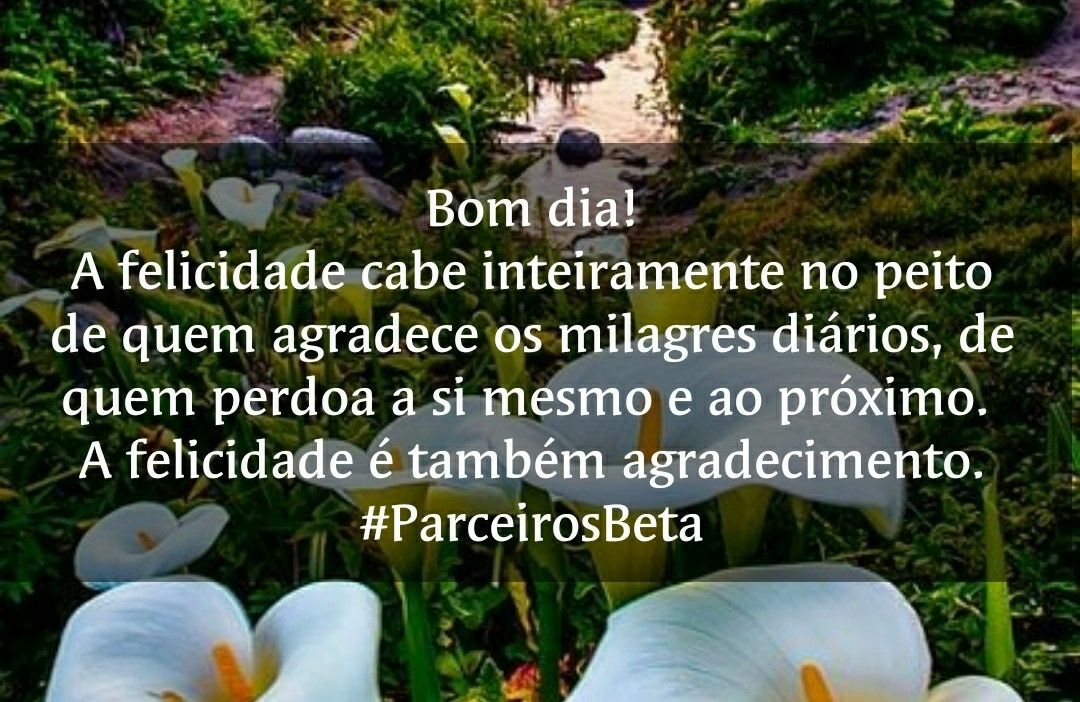 MariaLamedia's tweet image. Tudo na vida, requer uma decisão!
Só depende de Você.
@ParceirosBeta#ParceirosBeta