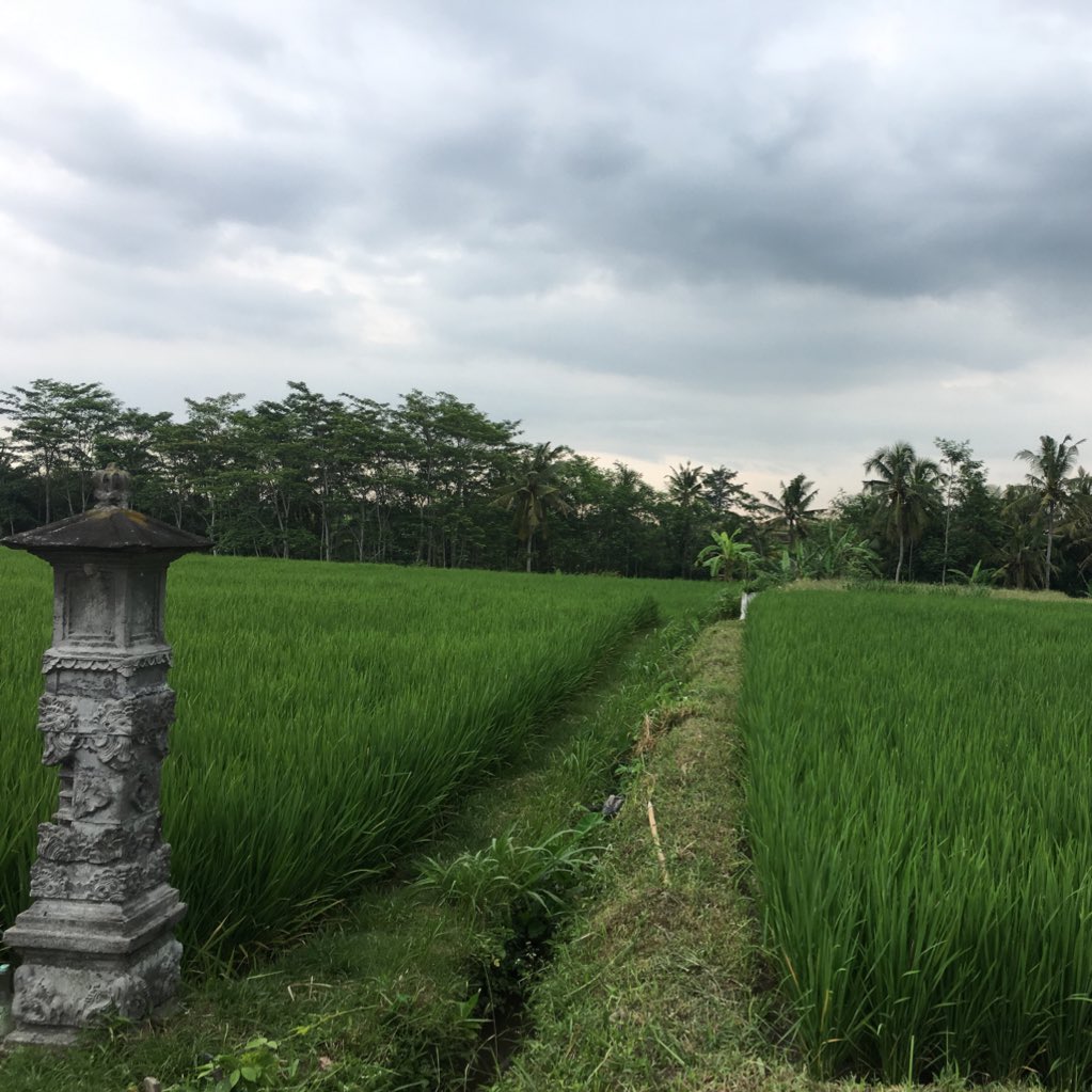 mOhAmMeD tweet media