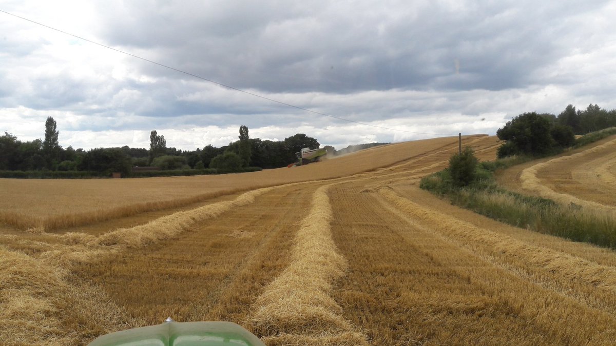 How much harvest left ? thefarmingforum.co.uk/index.php?thre… #harvest17