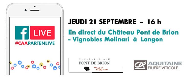 #CAAPARTENLIVE  : rendez-vous jeudi dans l'appellation des <a href="/VinsdeGraves/">Les Vins de Graves</a>  ➡️ ca-aquitaine.info/nos-actualites…