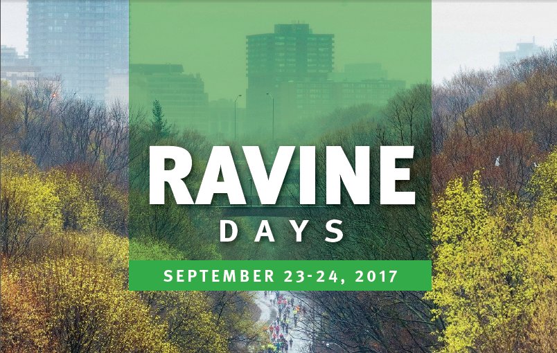 cityoftoronto's tweet image. Celebrate #TOravines with Ravine Days on September 23-24, news release: ow.ly/WVs430fgy4N