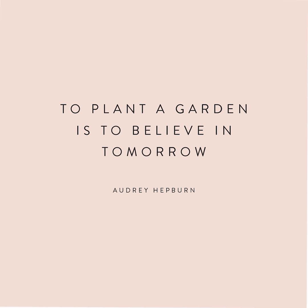 Always believe in tomorrow ❤

Have a terrific Tuesday friends!!

#TuesdayThoughts #buildagarden #loveyourlife
