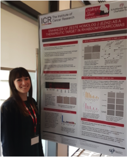 SMP Team tweet media