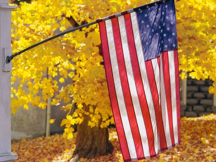 OANN's tweet photo. Good morning! Tune into One American News for the latest! #OANN #GoodMorning https://t.co/nISnEXWVSX