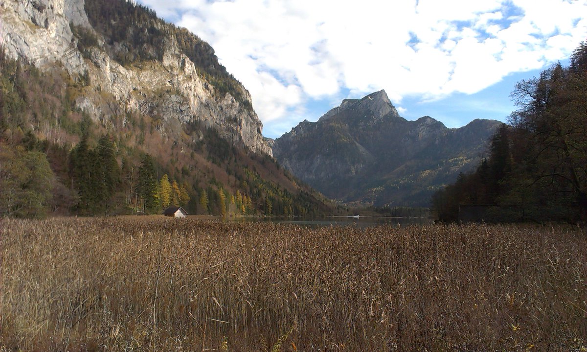 SK_Language's tweet image. Great place for a picnic. #austria #travel