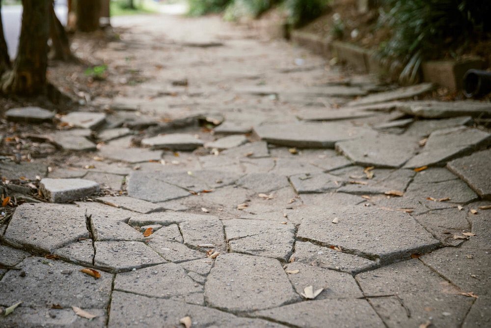 BitterSouth's tweet photo. For folks who navigate the world from wheelchairs, bad sidewalks pose dangerous choices. How do we fix this? https://t.co/WV7GAzbzlu https://t.co/TrNweliYyL