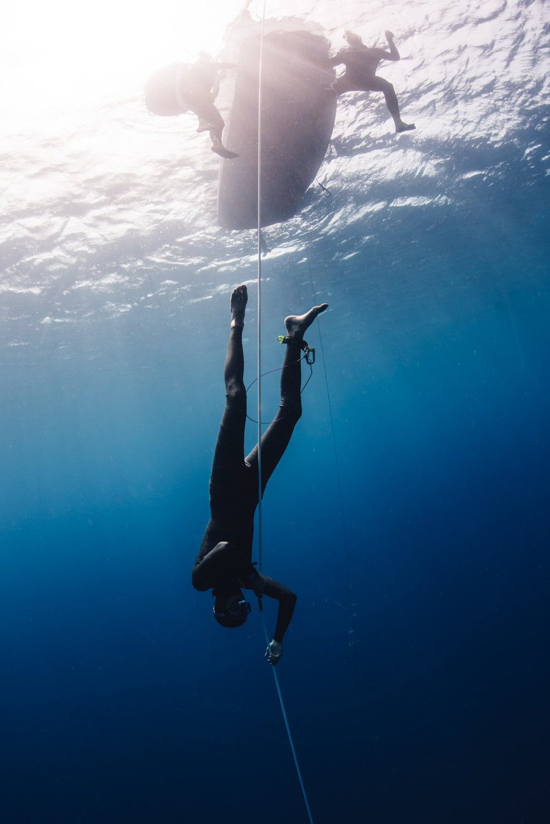 Partage tes photos en #apnée
1. 📷 Tweet tes photos
2. 😋 Tag #ApnéeEtLifestyle
3. 💙 Je retweet les meilleurs
4. 🙏🏽
#OurBluePlanet #freediving