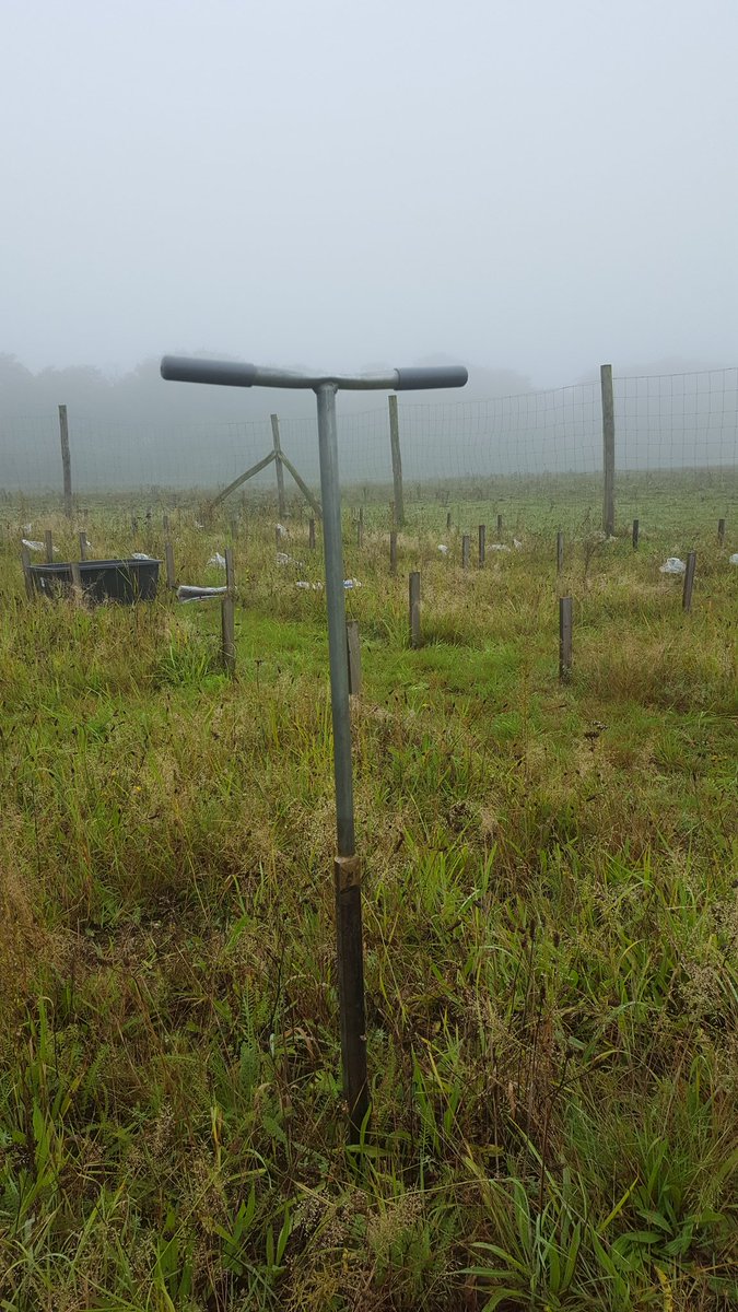 e_hannula's tweet image. It's the most wonderful time of the year... #samplingtime #soilinoculationexperiment