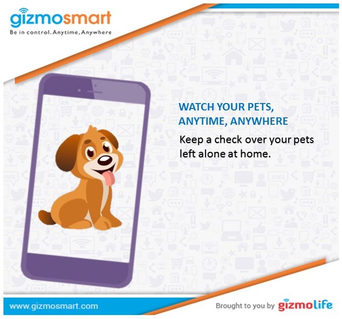 Anytime,Anywhere Care!
#PetMonitoring #PetLove #HomeMonitoring 
#IPCamera #HomeSecurity #PetSecurity
#HomeAutomation
zurl.co/11zz3