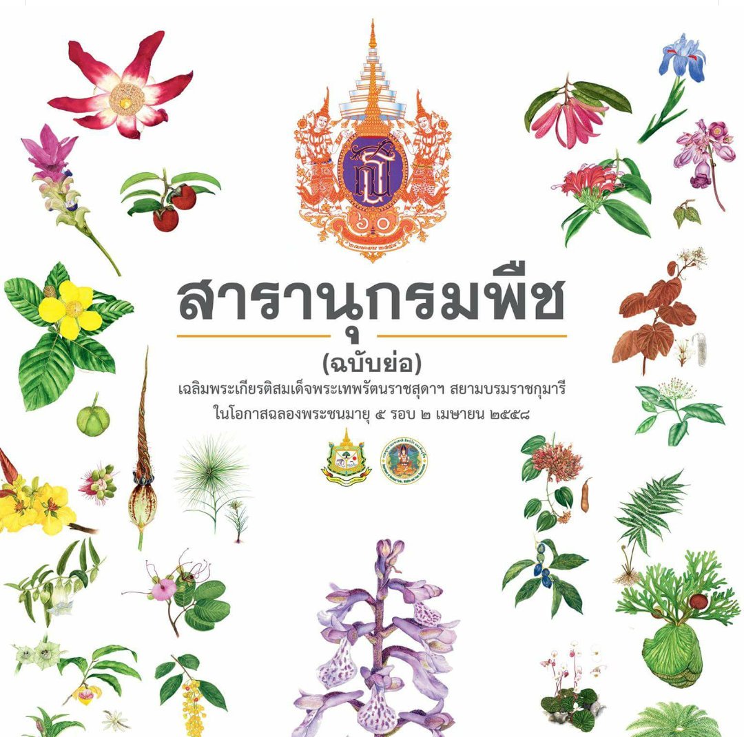 OililyPop's tweet photo. ดีต่อใจ https://t.co/DDCbqD5l3o
