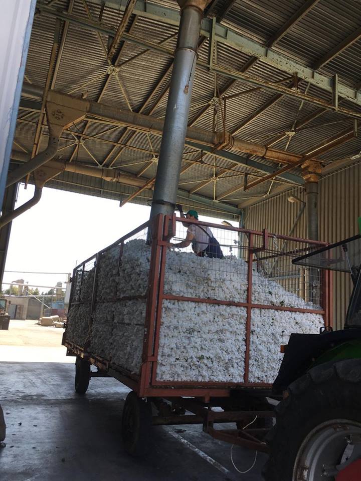 ThrakikaE's tweet photo. Crop 2017/18 is comming to the ginning mill #greek_cotton #crop2017 https://t.co/jO0bTbECB9