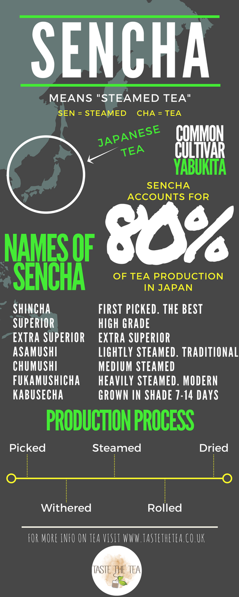 __TheJoyThief__'s tweet photo. #TeaTeaching - How much do you know about #sencha #greentea? https://t.co/g4TmMtoLa2