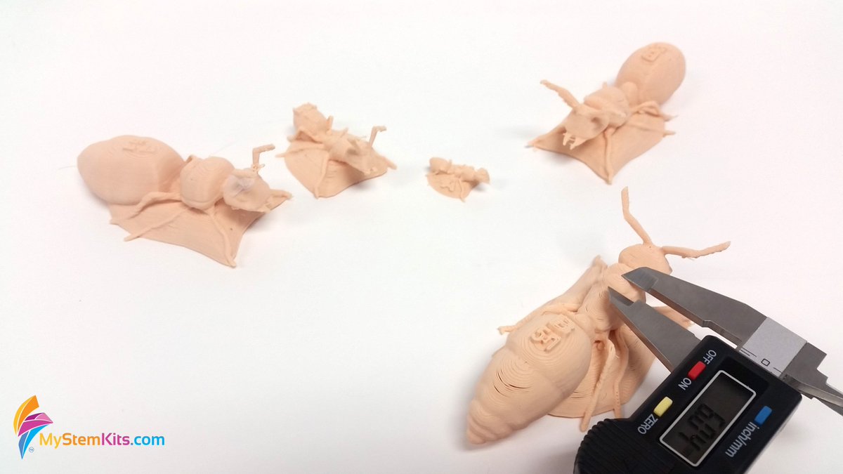 mimioSTEM's tweet image. Magnify your students’ understanding of #groupbehavior with these large-scale #ants. #allometry #biodiversity #species #3DSTEM