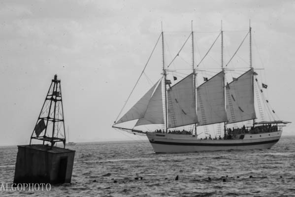 Tall Ship Lake Michigan algophotograhy.wordpress.com/2017/09/19/tal…