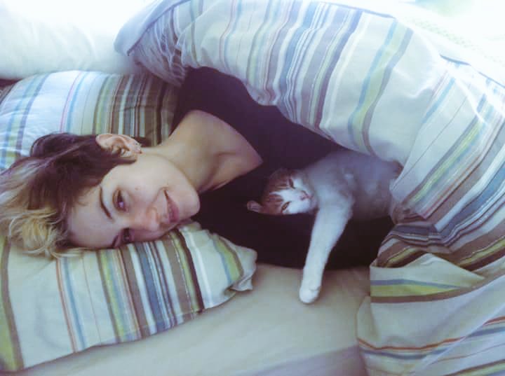 sudesh_kumar's tweet photo. #CatonBed #CatsOfTwitter #catlovers #sudes @tononoboa @veganstudio #TuesdayThoughts of #vegan #shared: #sudeshkumar https://t.co/V5Pv22oBn4