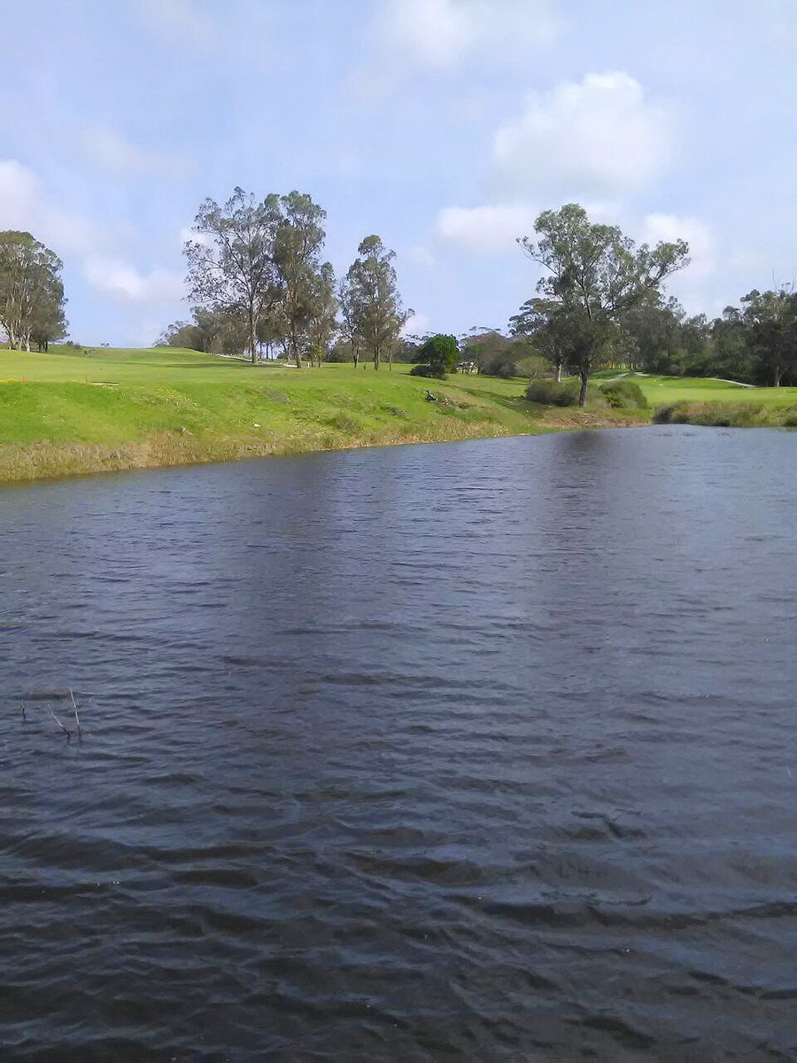 Thanks to amazing #Rain our are dams have filled up nicely and the course is in excellent condition. Come try it out! #Golf #PortElizabeth