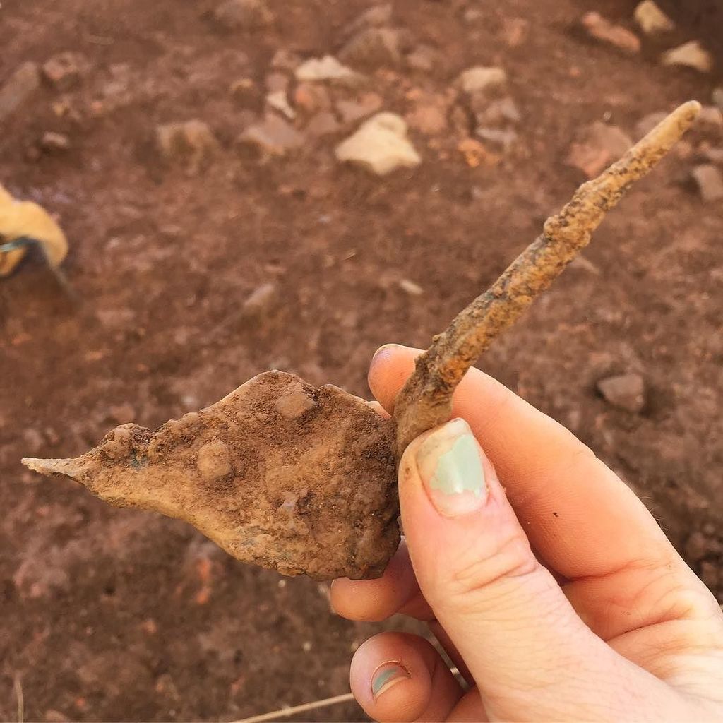 Montpelier_Arch's tweet photo. Check out this #currycomb handle the #digmontpelier team found in the Grove this morning! Curry combs were used to… https://t.co/o8s3RJETHa https://t.co/GEF0TqupTf