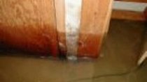 CapitalAdjuster's tweet photo. Let Capital Adjustment handle all of your insurance flood damage needs in PA and NJ. 
#flooddamage #publicadjuster #insuranceclaim https://t.co/WLwhBrdJKK