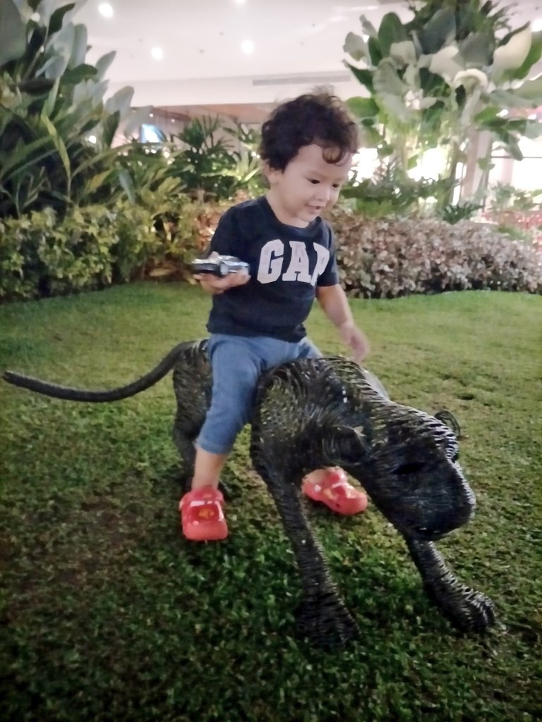 Bakit po ayaw maglakad ng alaga ko? Hmmm...