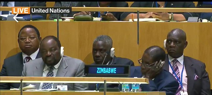 View image on Twitter