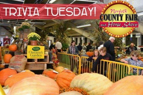 NorfolkFair's tweet photo. It's #triviatuesday! Do you know how big the HEAVIEST pumpkin was at #NCF2016? https://t.co/ll7wuqDLio