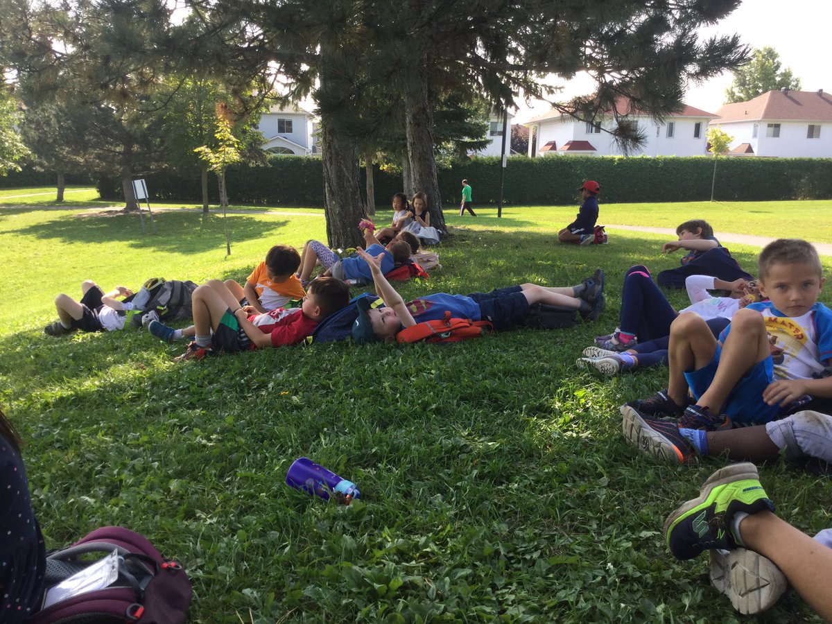 mkd_st's tweet photo. 'Learning to find calm inside ourselves. I like to lie down and look at the trees by the bottom #mindfulness #outdoorlearning https://t.co/prO1OJxDpn