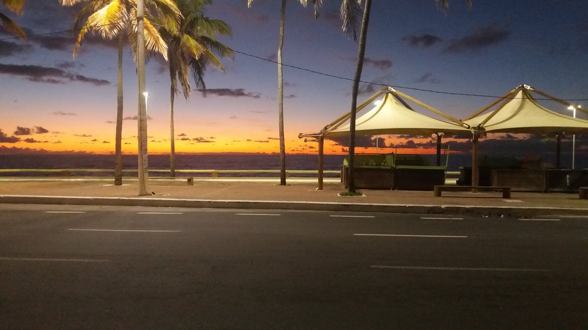 MaicoF22's tweet image. 